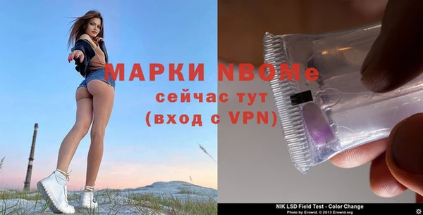 mdpv Белокуриха